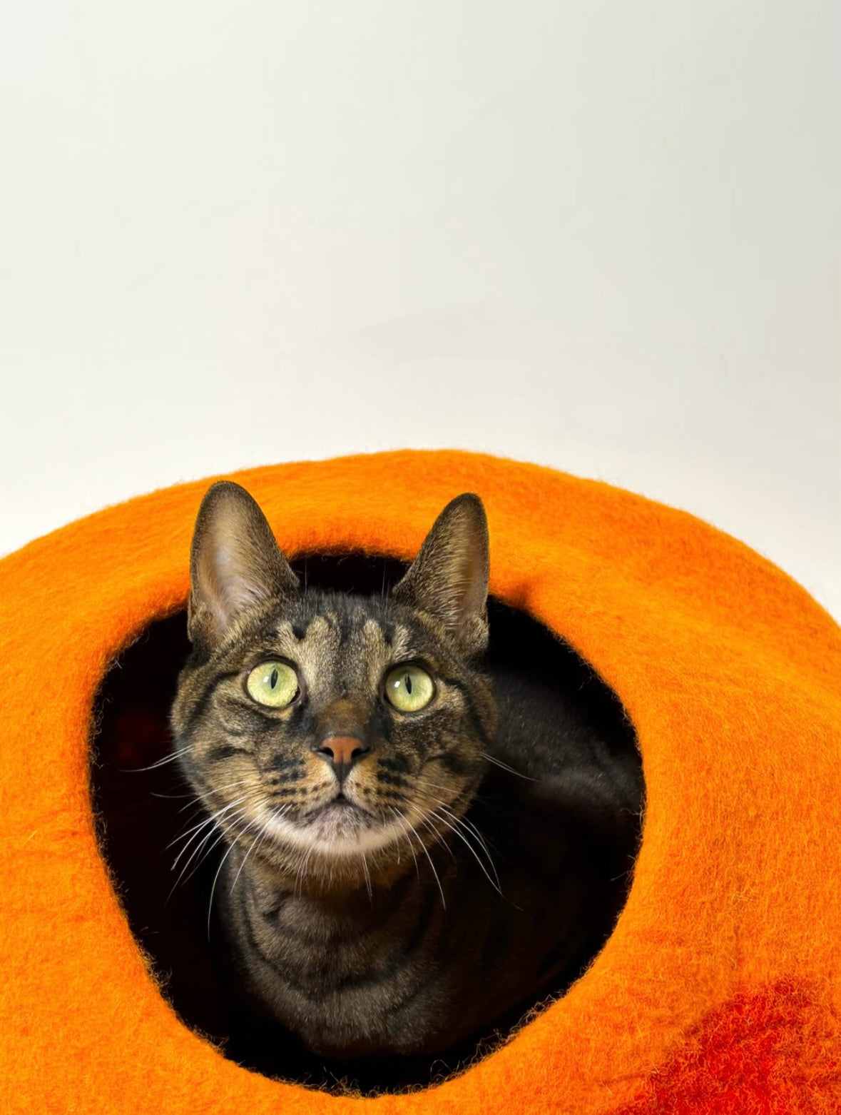 Happy Sunshine Wool Handmade Cave Cat House