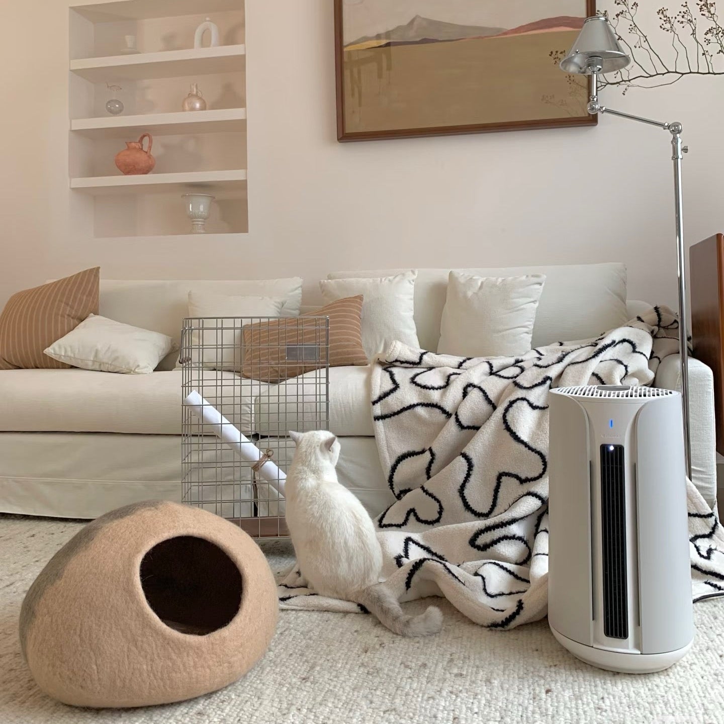 The Coziest Cat Beds Your Feline Will Love This Winter