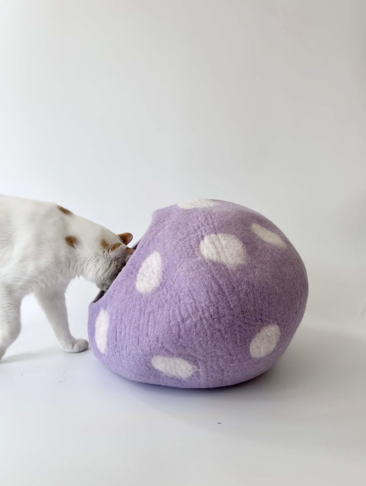 Taro Boba Wool Handmade Cave Cat House