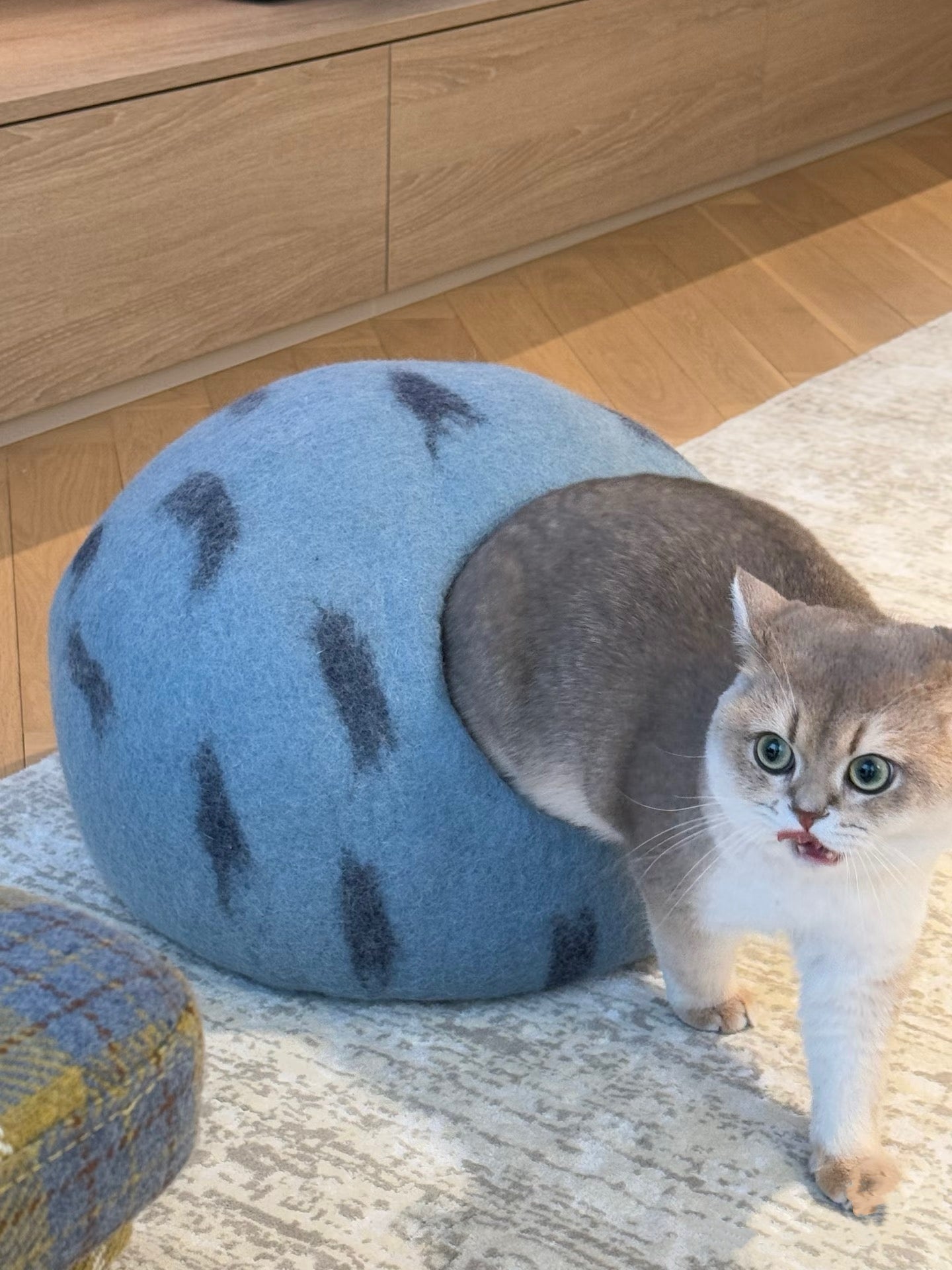 Blue Planet Wool Handmade Cave Cat House