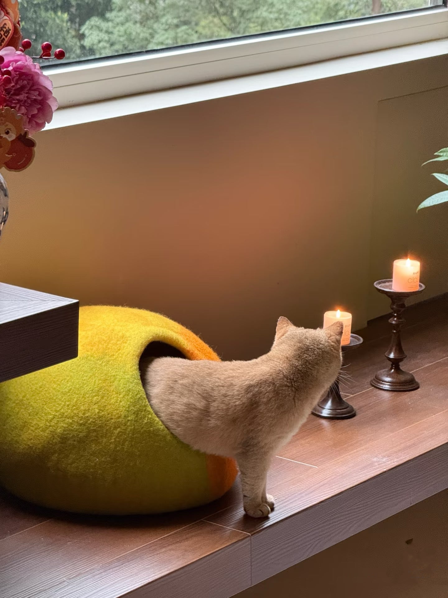 Amalfi Lemon Wool Handmade Cave Cat House