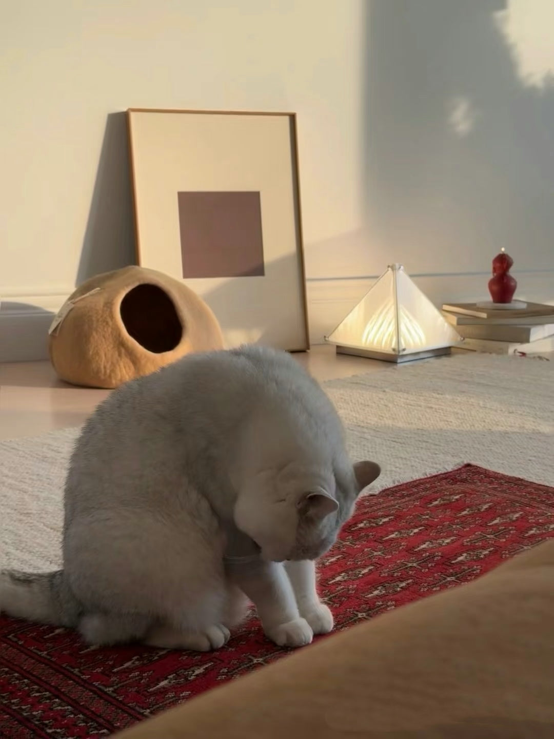 Chestnut Wool Handmade Cave Cat House
