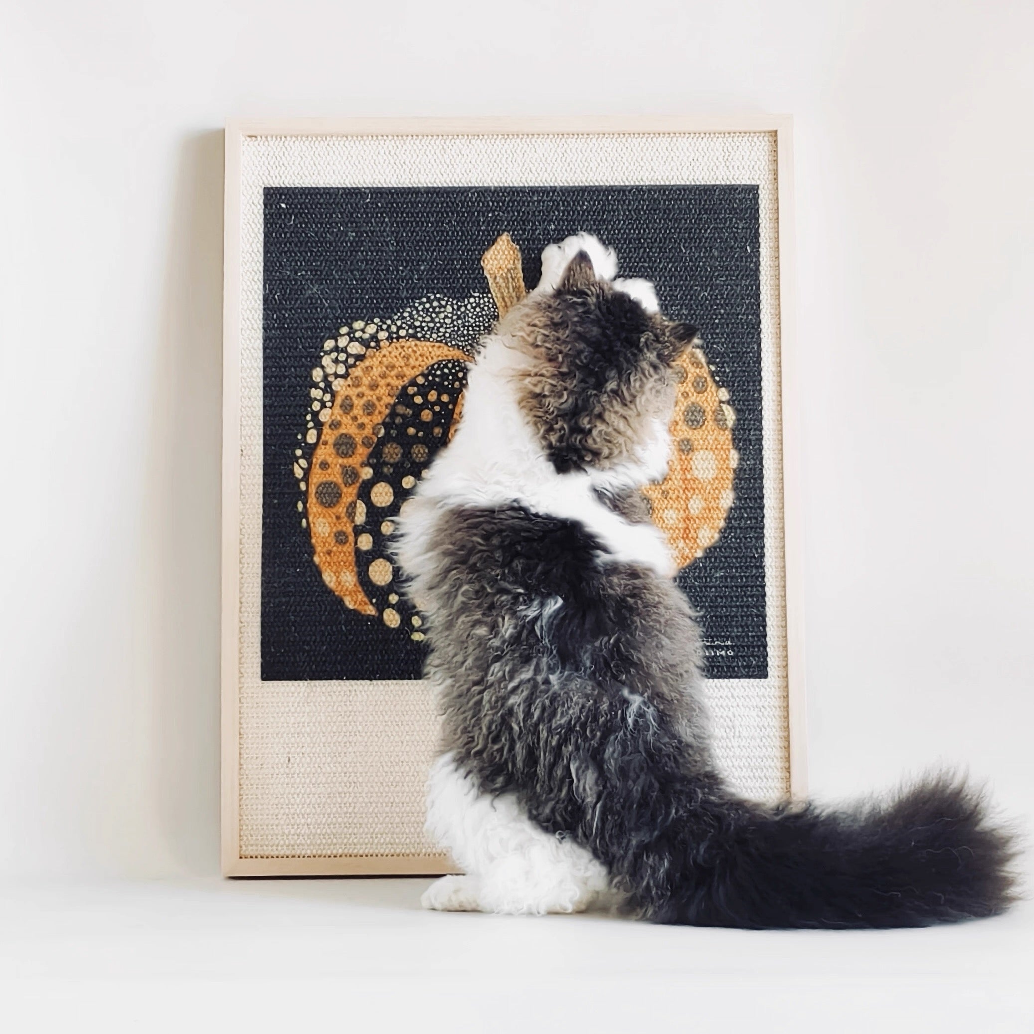 Collaboration Series: Black-Based Pumpkin Art Frame Sisal Cat Scratcher 01