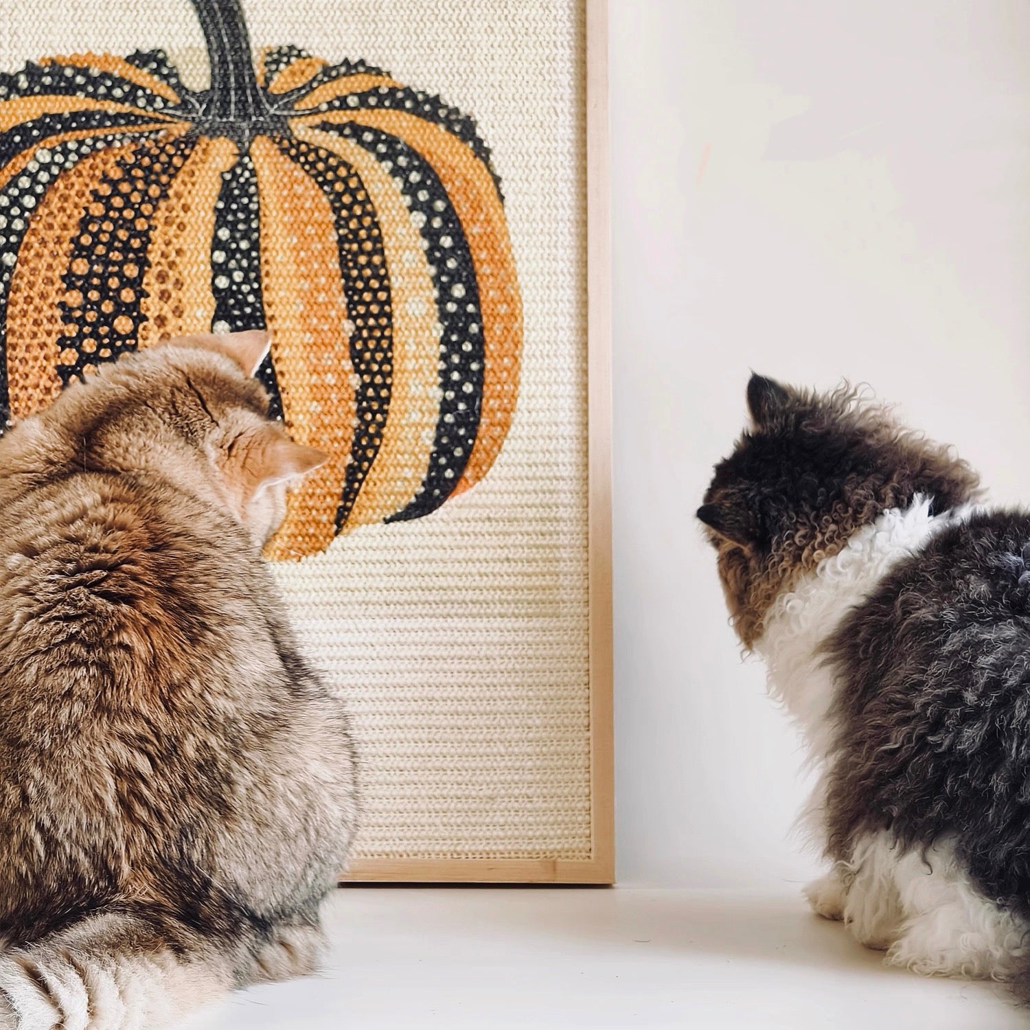 Collaboration Series: White-Based Pumpkin Art Frame Sisal Cat Scratcher
